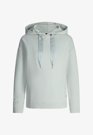 Light mint green hooded sweatshirt with drawstring, soft texture, kangaroo pocket, and logo on the sleeve. Simple design and relaxed fit.
