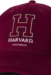 Cappello da baseball color marrone con un evidente ricamo dorato della lettera "H" e la scritta "HARVARD UNIVERSITY" sottostante in bianco. Materiale in cotone con una superficie liscia.