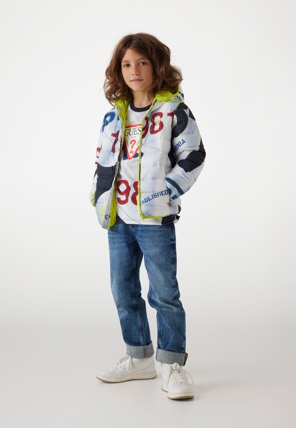 ALLOVER - Winterjacke - gemustert multicolor