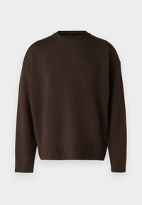 Brown knitted sweater with a crew neckline, soft texture, ribbed cuffs and hem, featuring a loose-fitting design.