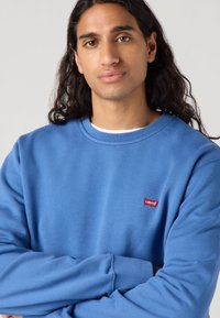 Blue sweatshirt featuring a crew neckline, long sleeves, and a small red Levi's logo on the chest. Soft fabric with a smooth texture.