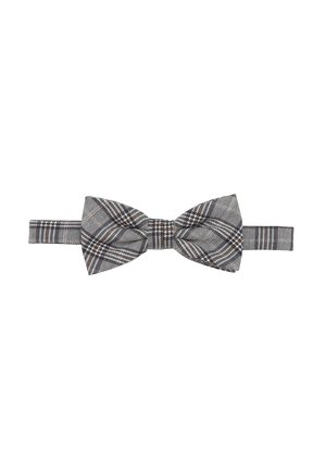 Prince Bow Tie FLIEGE  - Fliege - braun blau