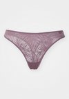 THONG SHEER MARQ LACE - Tango nohavičky - keepsake rose