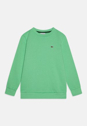 Sudadera verde de mezcla de algodón, con cuello redondo y puños de canalé. En el pecho se muestra un pequeño logo.