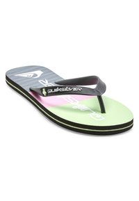 Quiksilver MOLOKAI - Allassandaalit - xkgk