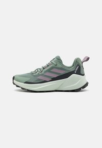 Adidas Terrex - TERREX TRAILMAKER 2  - Outdoorschoenen - silver green/preloved fig/crystal jade Miniatuurafbeelding 1