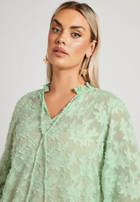 Blusa trasparente di un verde menta con ricami floreali, scollatura a V e colletto arricciato. Tessuto leggero e texture con maniche lunghe.
