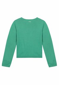Zelený pletený svetr s dlouhými rukávy a kulatým výstřihem. Na zadní straně se nachází jemná značka značky ve střední části nahoře. Hladká textura.