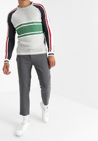 Grauer Kapuzenpullover mit grünen, marineblauen und roten Streifen, kombiniert mit schmal geschnittenen grauen Hosen und weißen Sneakers. Glatte Textur, lässiges Design.