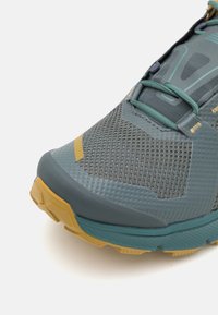 Dynafit ULTRA 100 GTX - Παπούτσια για τρέξιμο σε μονοπάτια - lichen/atlantic