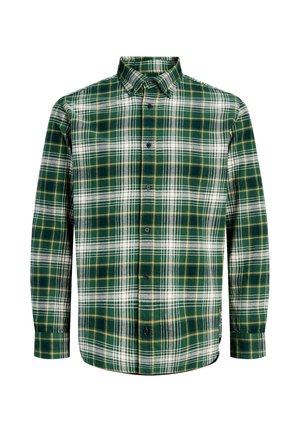 Jack & Jones, JACK & JONES HEMD BLUHARVEY LANGARMHEMD - Hemd - grün