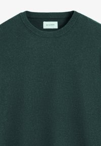Pulover de culoare verde închis, cu gât rotund, realizat dintr-un material tricotat moale. Dispune de un guler ribat și un detaliu cu un logo mic pe față. Design simplu și clasic.
