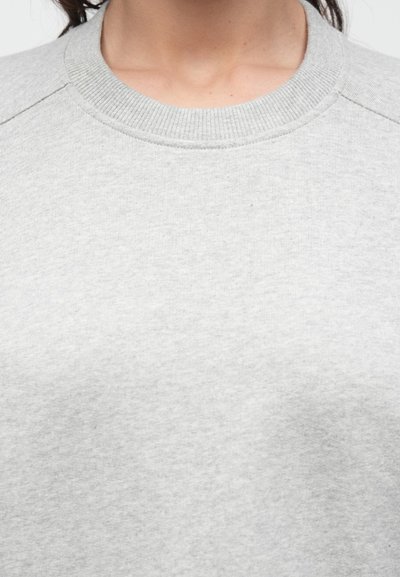 Ανοιχτό γκρι φούτερ με στρογγυλή ραβδωτή λαιμόκοψη, υφασμάτινη υφή και απλό σχέδιο. Δεν είναι ορατά σχέδια ή διακοσμητικά.