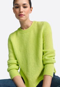 Limoengroene zachte gebreide trui met een ronde hals, een ontspannen pasvorm en geribbelde manchetten, met een licht taps toelopende zoom en een pluizige textuur.