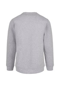 Felpa grigia con maniche lunghe, scollatura rotonda e una consistenza morbida. Il retro è liscio e non decorato, con polsini e orlo a costine.