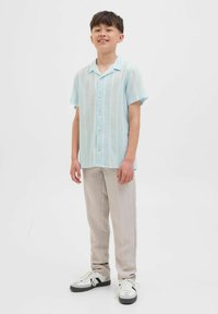 Lichtblauw kortshirt met verticale strepen, knoopsluiting, gecombineerd met lichtgrijze broek en zwart-witte sneakers.