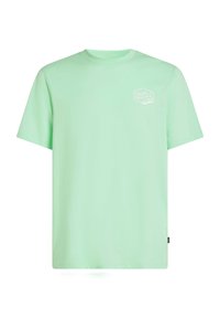 BOX LOGO - Trükipildiga T-särk - mildrew mint