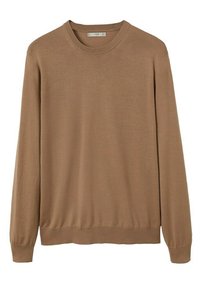 Maglione marrone a maniche lunghe con colletto tondo realizzato in tessuto morbido. Presenta polsini e orlo a coste con una texture liscia e uniforme in tutta la superficie.
