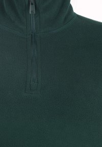 Donkergroen fleece pullover met een hoge kraag en een korte rits, gemaakt van een zachte, textuurstof zonder patronen of versieringen.