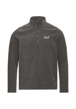 Grauer Fleecepullover mit halbem Reißverschluss und Stehkragen. Verfügt über ein kleines weißes Logo auf der linken Brustseite. Weiche Textur, lange Ärmel.