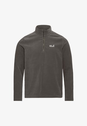 Grauer Fleecepullover mit halbem Reißverschluss und Stehkragen. Verfügt über ein kleines weißes Logo auf der linken Brustseite. Weiche Textur, lange Ärmel.