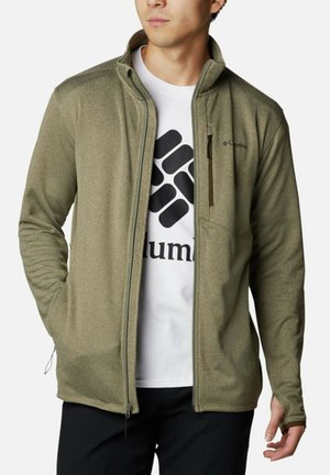 PARK VIEW FULL ZIP - Fleece jacket - stone green heather