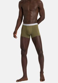 Hanro RETRO 2 PACK ESSENTIALS - Boxerkalsong - labradorblue/moss