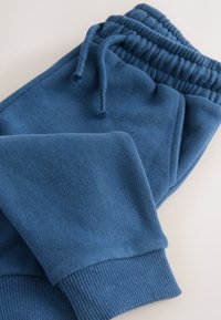 Joggers en polaire bleue avec une taille élastique et un cordon de serrage, avec des poignets côtelés et une finition douce et texturée.