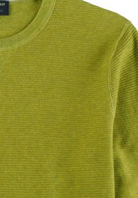 Grüner Strickpullover mit Rundhalsausschnitt, strukturiertem Stoff und Rippdetails am Kragen und an den Ärmelbündchen, weiche Stoffoberfläche.