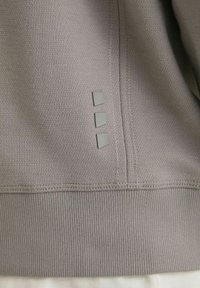 CHASIN' RYDER - Sudadera - grey