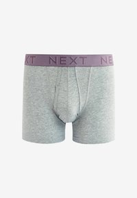 Next A FRONTS 10 PACK - Boxer alsónadrág - blue grey pink