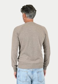 Maglione a maglia beige con polsini e orlo a costine, con scollo rotondo e maniche raglan, indossato con jeans blu. Vista posteriore mostrata.