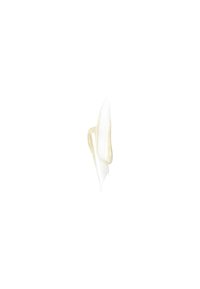 Texture crémeuse, couleurs blanche et beige, application lisse. La forme ressemble à une petite noisette, avec un éclat subtil et sans motifs visibles.
