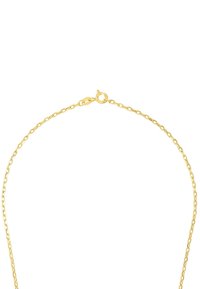 Halsband i guldton med en delikat länkdDesign, utrustad med en krabbklämma för säker användning.