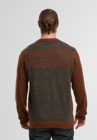 Pull en tricot marron et gris avec des manches longues, présentant un motif géométrique sur le dos et des manches contrastantes. Texture douce.