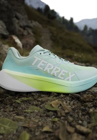 Chaussure de course Terrex bleu clair et vert sur un sol rocheux avec un arrière-plan montagneux flou.