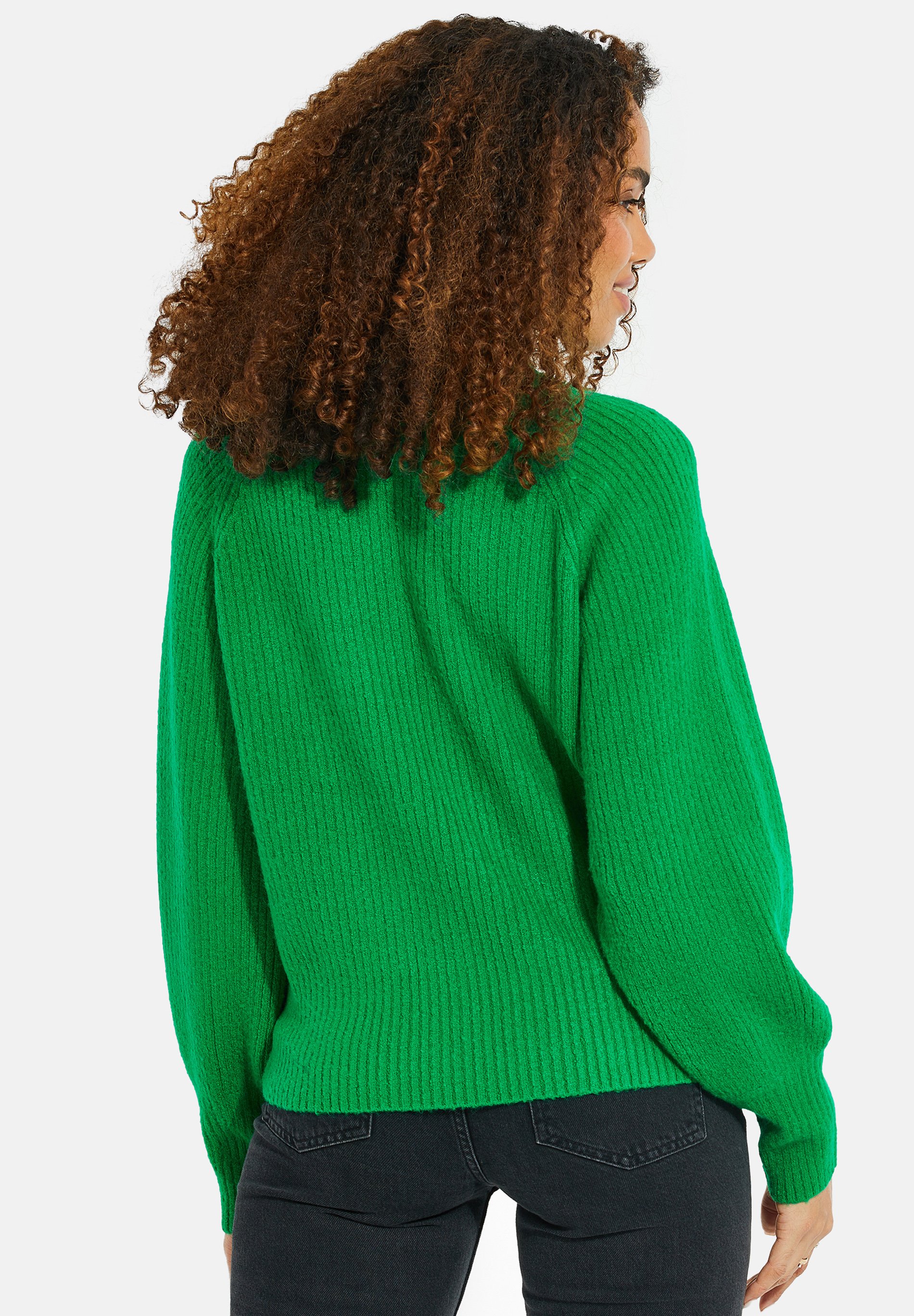Threadbare LOLITE ROLL NECK - Jumper 
