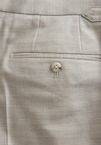 Next REGULAR FIT TAILORED FIT  - Pantalones - stone