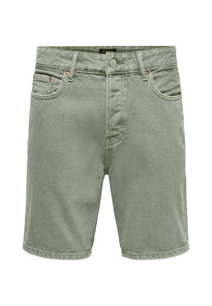 Lysegrønne denimshorts med knap foran, lynlås, bæltestropper og fem-lomme-design.