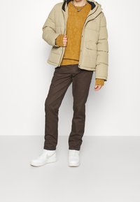 Dickies Chino kalhoty - dark brown