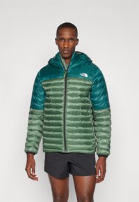 The North Face TERRA PEAK HOODIE - Vinterjakker - duck green/deep nori