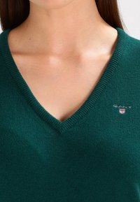 Green V-neck sweater made from soft fabric; features ribbed neckline and small logo accent on the chest. Even, textured surface.