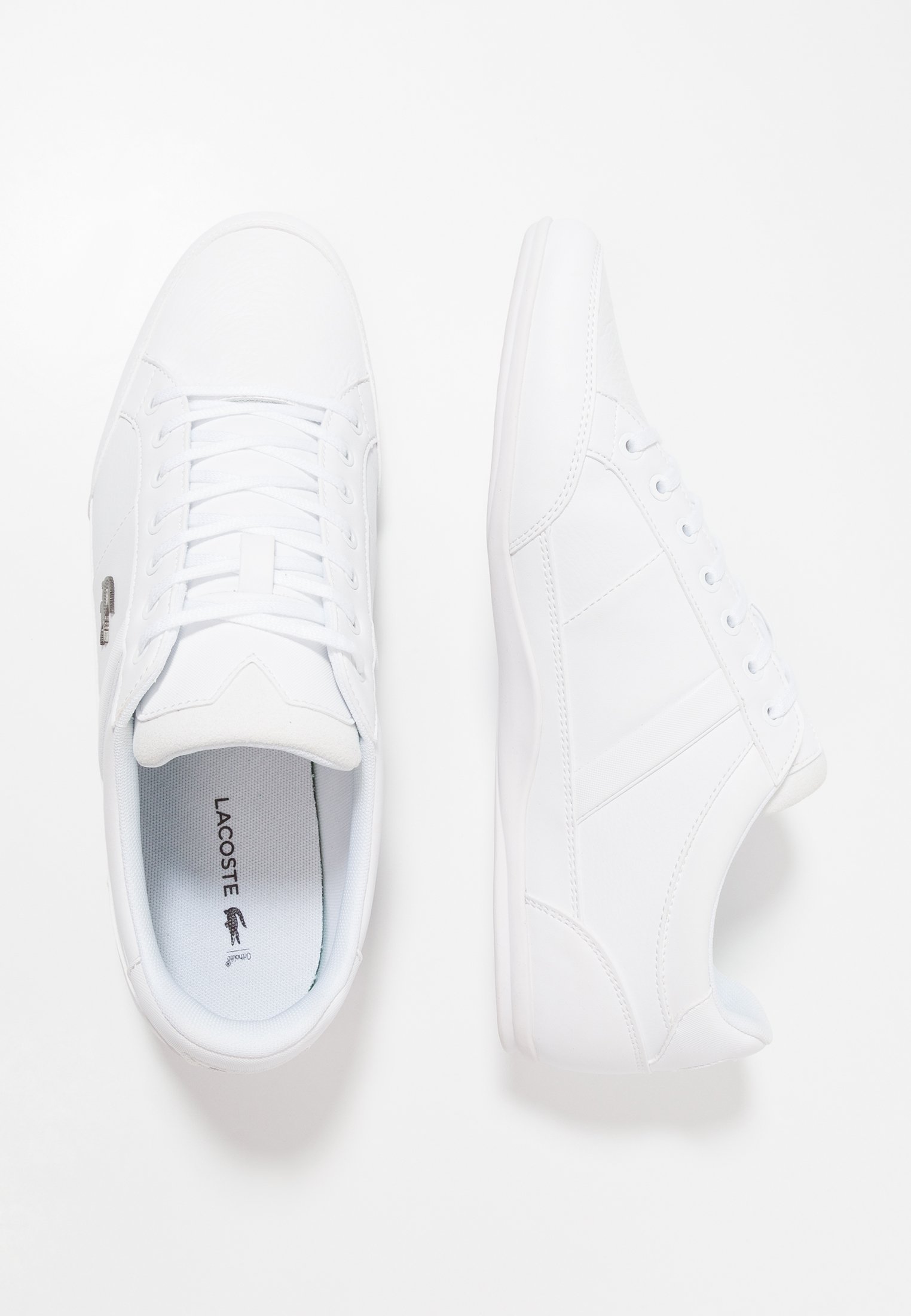 zalando lacoste sneakers