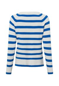 Blauw-wit gestreepte trui met lange mouwen, een ronde hals en een aansluitend ontwerp. De stof lijkt zacht met een gladde textuur.