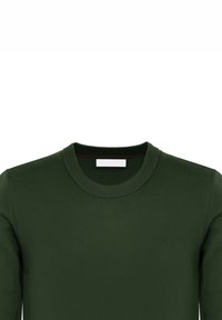 Maglione verde lavorato a maglia con collo rotondo. Colletto e polsini a costine. Tessitura liscia, design minimalista senza motivi o accenti.