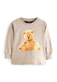 Non selezionato, stone brown bear