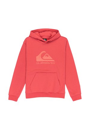 LOGO HOODIE YOUTH UNISEX - Sweat à capuche - mineral red