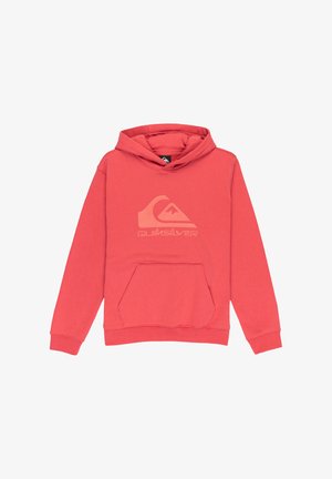 LOGO HOODIE YOUTH UNISEX - Pulover s kapuco - mineral red
