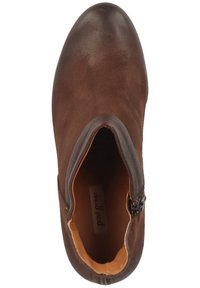 Paul Green Botines de tacón - dark brown