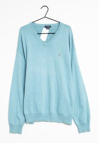 Pull léger bleu clair à col en V, fabriqué en matériau tricoté doux. Il présente des poignets et un ourlet côtelés, avec un petit logo brodé sur la poitrine.